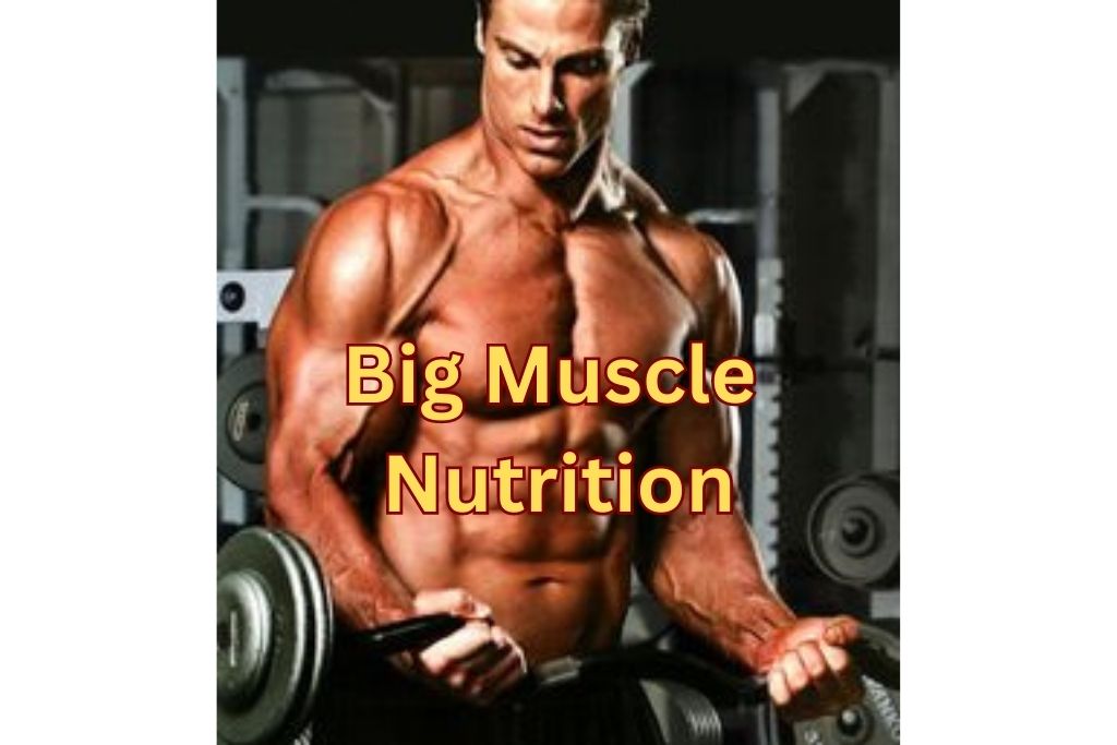 Big Muscle Nutrition