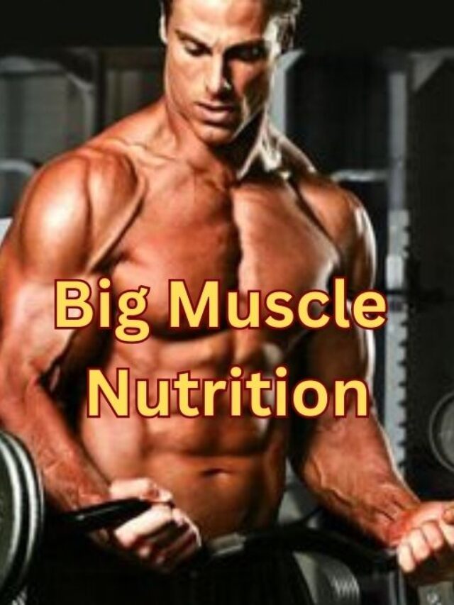 Big Muscle Nutrition