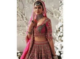 Lehenga Blouse Design