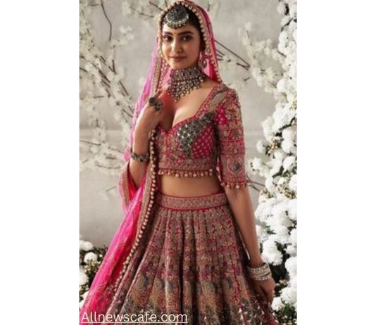 Lehenga Blouse Design