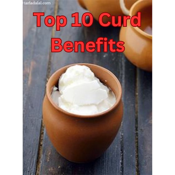 Curd Benefits