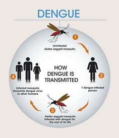 Dengue Symptoms In Hindi