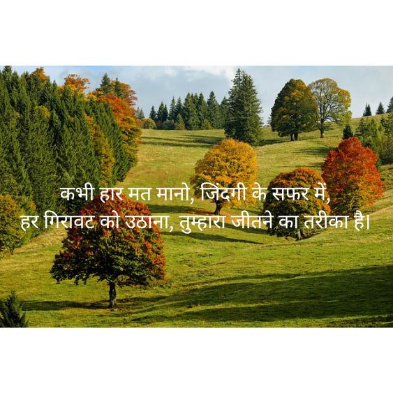 Motivational Shayari