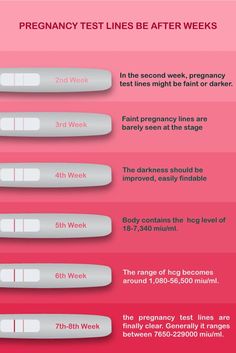 Pregnancy Test Kit