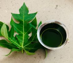 Papaya leaf juice