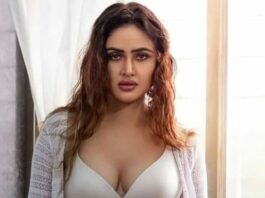 Top 10 Hot Pics of Indian Actress Sony Charista